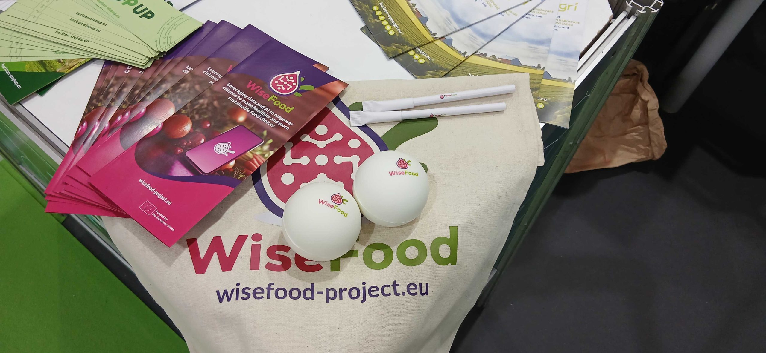 In-text visual for a joint activitiy on Agricultural Fair.