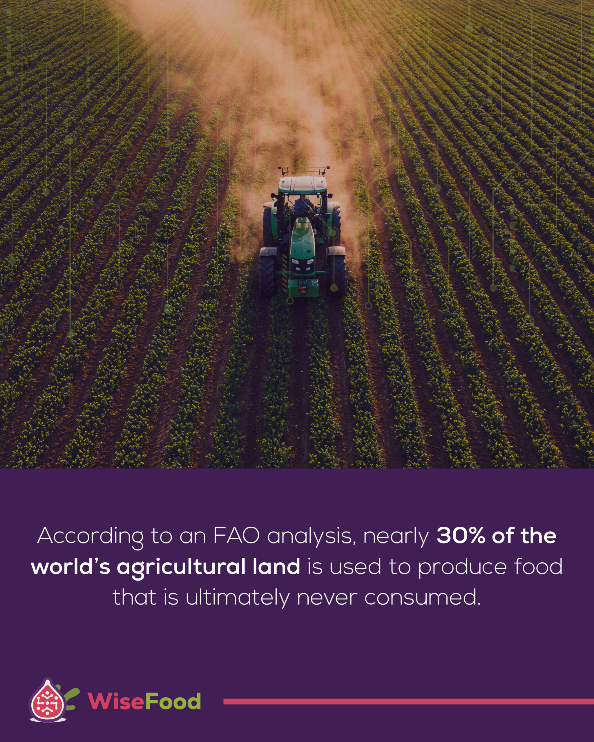 In-text visual for a blog covering International Day of Awareness of Food Loss and Waste.